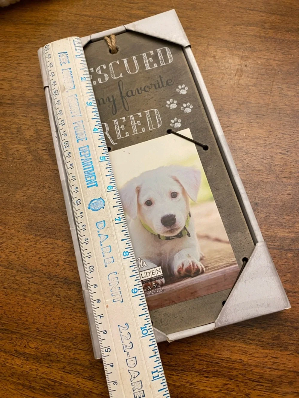 FREE Rescue Dog Frame - Picture 4 of 6